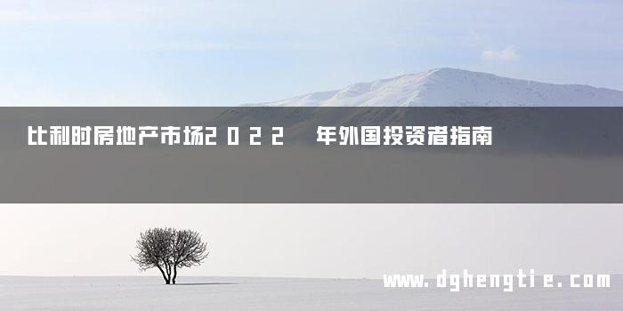 比利时房地产市场2022 年外国投资者指南